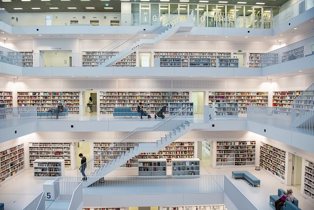 moderne Bibliothek 